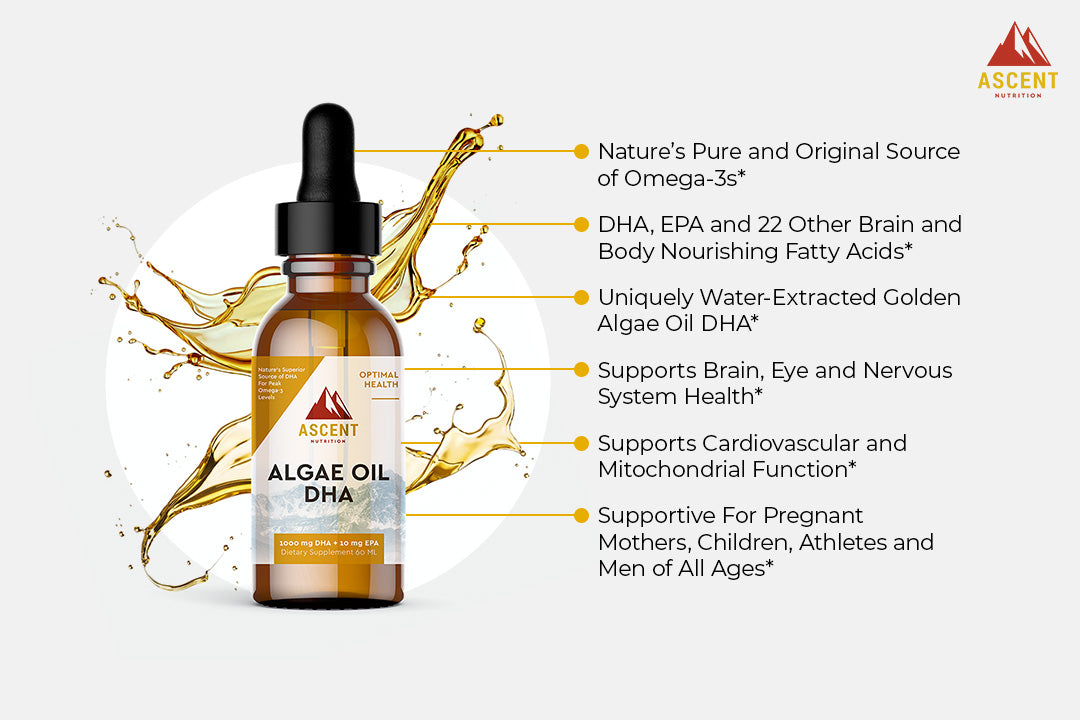 Algae Oil DHA Omega-3's - Vegan and Vegetarian, 60 ml Bottle by Ascent Nutrition