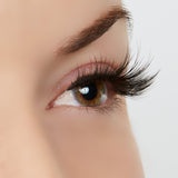 A Touch of Heaven Lash Style by True Beauty Lashes