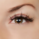 A Touch of Heaven Lash Style by True Beauty Lashes