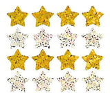 Bulk Roll Prismatic Stickers, Micro Stars / Gold and Silver (100 Repeats) by Present Paper