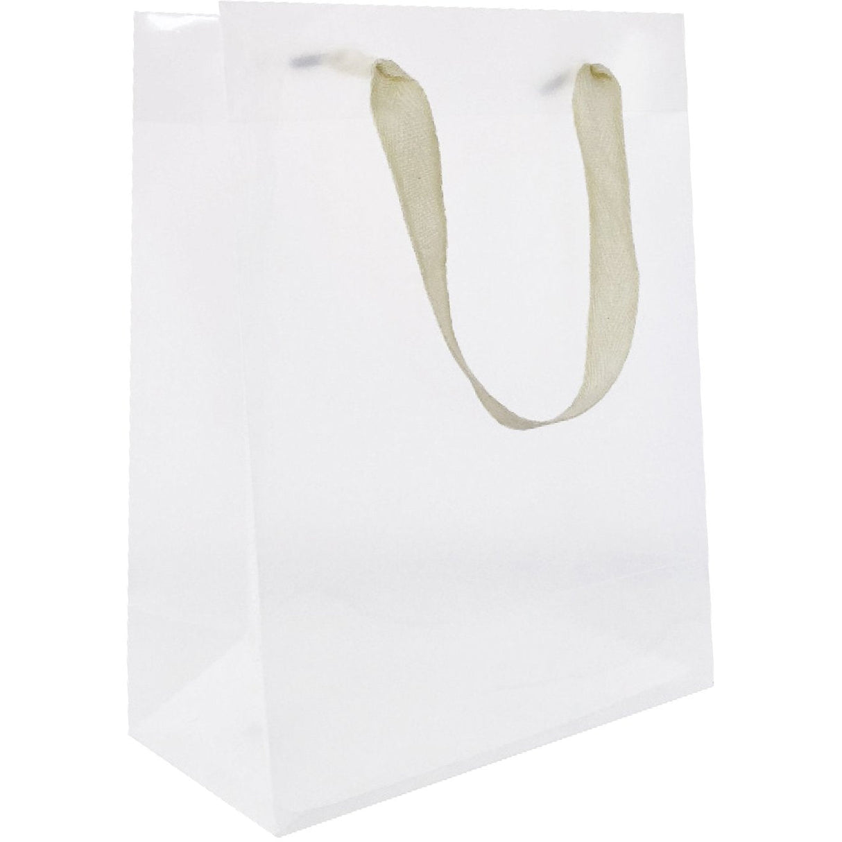 Heavyweight Solid Color Small Gift Bags, Clear Plastic by Present Paper