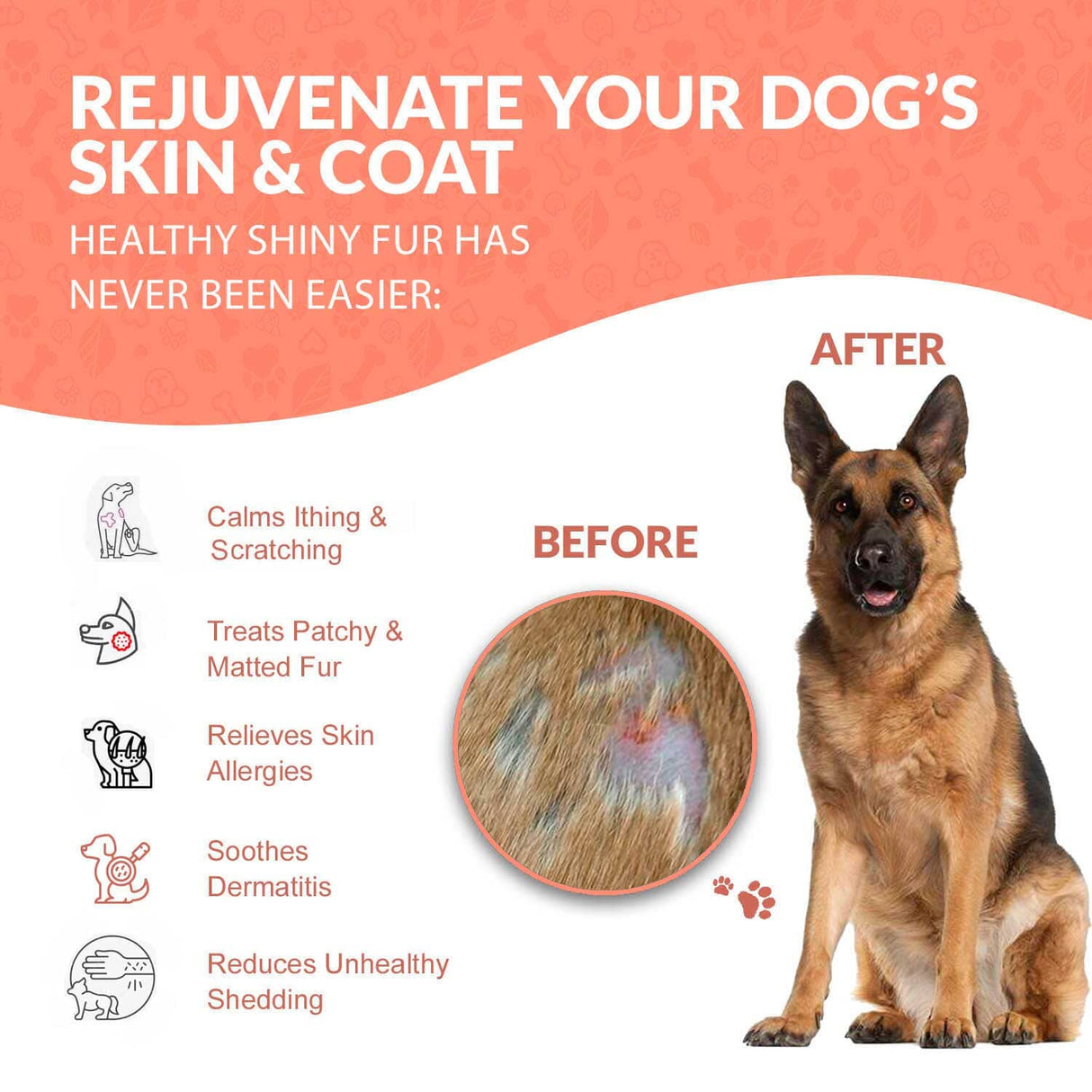 Healthy Skin & Coat for Dogs by BestLife4Pets