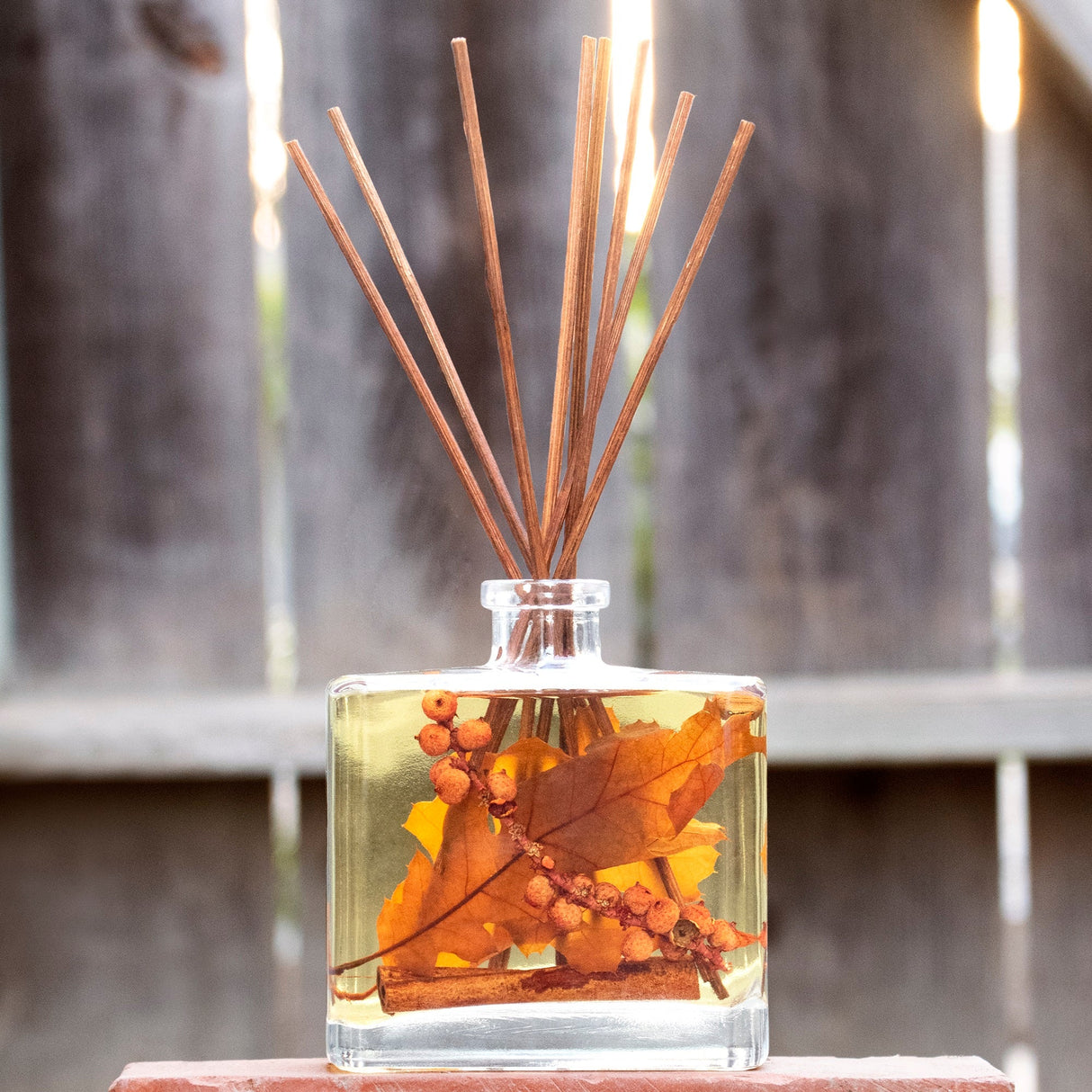 Blissful Harvest Reed Diffuser by Andaluca Home