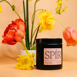 Blush – 9 oz Candle by Spír Candle Co.