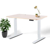 Business Office Standing Desk by EFFYDESK by Level Up Desks