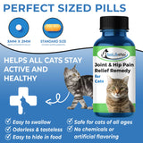 Cat Hip and Joint Pain Relief - Effective Anti-inflammatory and Arthritis Pain Medicine by BestLife4Pets