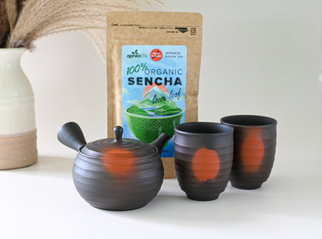 Japanese Green Tea Set - Teapot with Filters (270ml) and Two Cups by Aprika Life