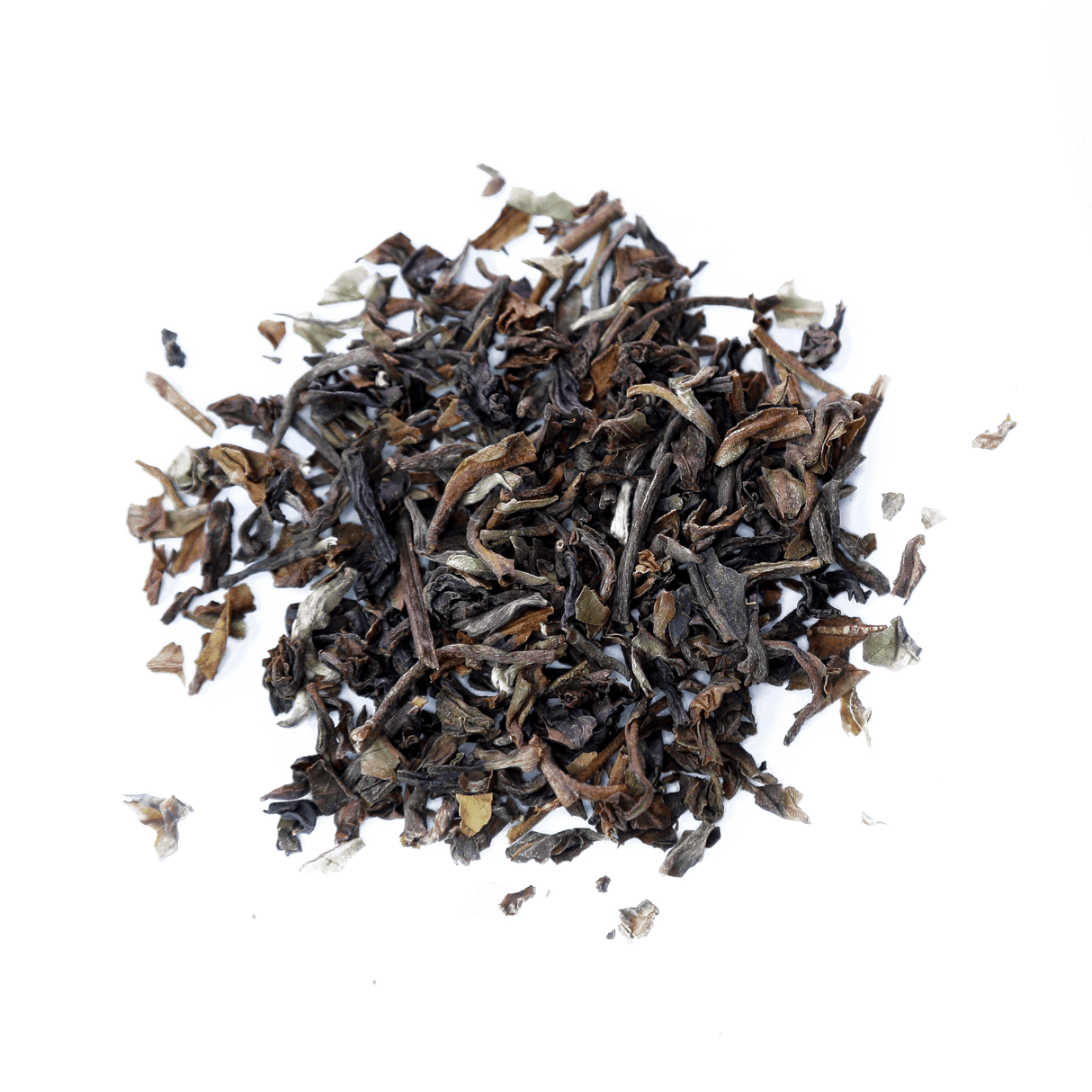 Darjeeling by Open Door Tea CT