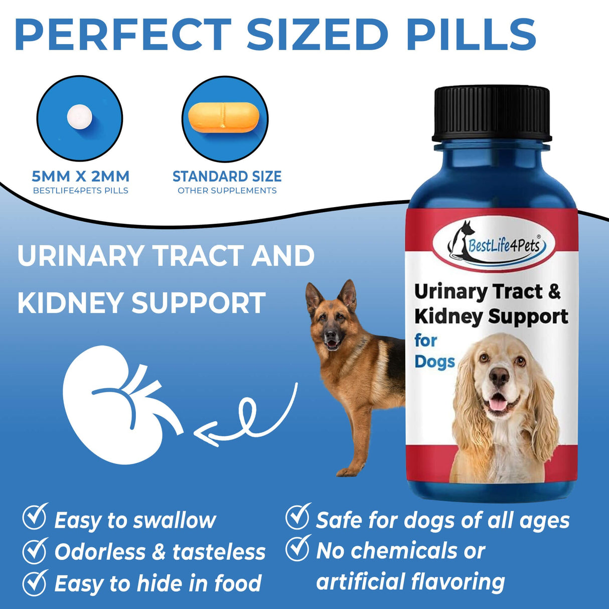 Dog UTI & Kidney Infection Treatment for Dogs by BestLife4Pets