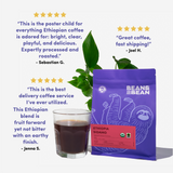 Ethiopia Sidamo, Organic & Fair Trade by Bean & Bean Coffee Roasters