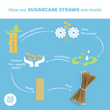 Sugarcane Drinking Straws (Wholesale/Bulk), BOBA/Bubble Tea Size - 1000 count by EQUO