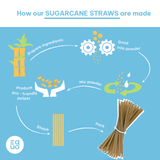 Sugarcane Drinking Straws (Wholesale/Bulk), Standard Size - 1000 count by EQUO