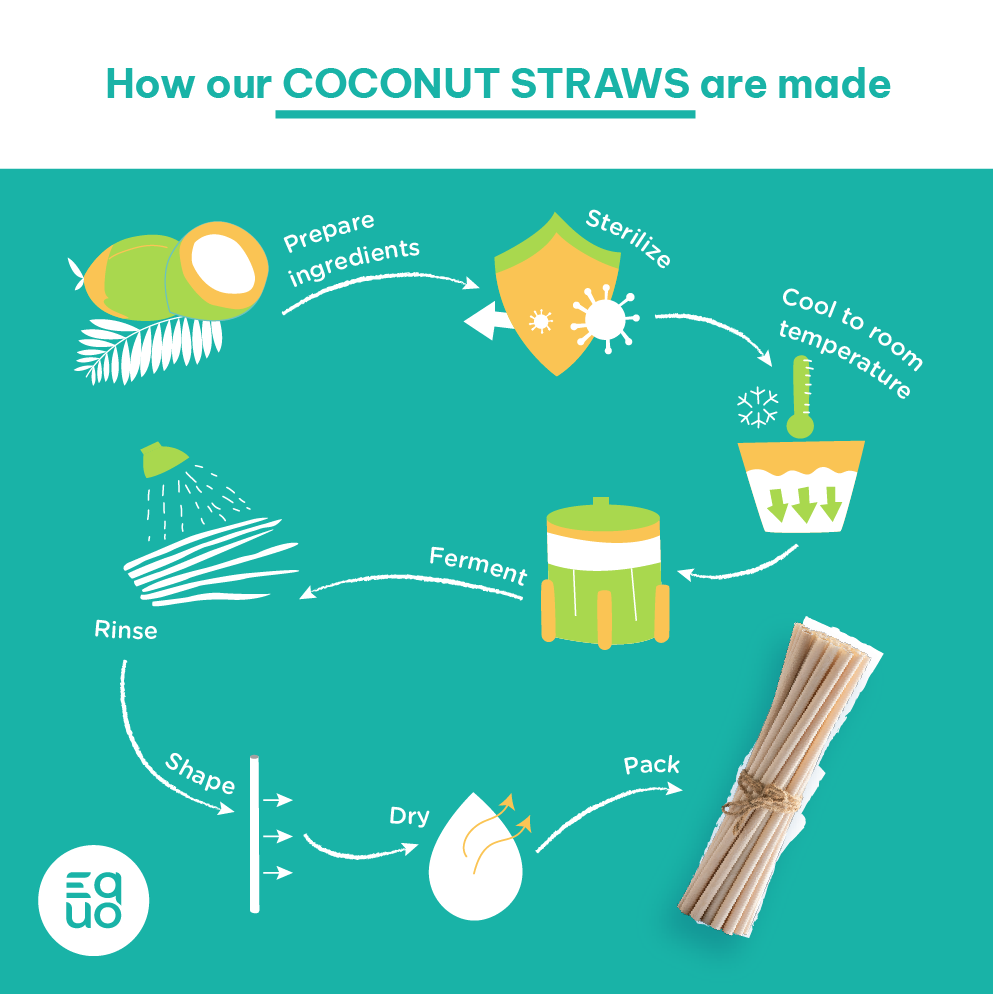 Coconut Drinking Straws by EQUO