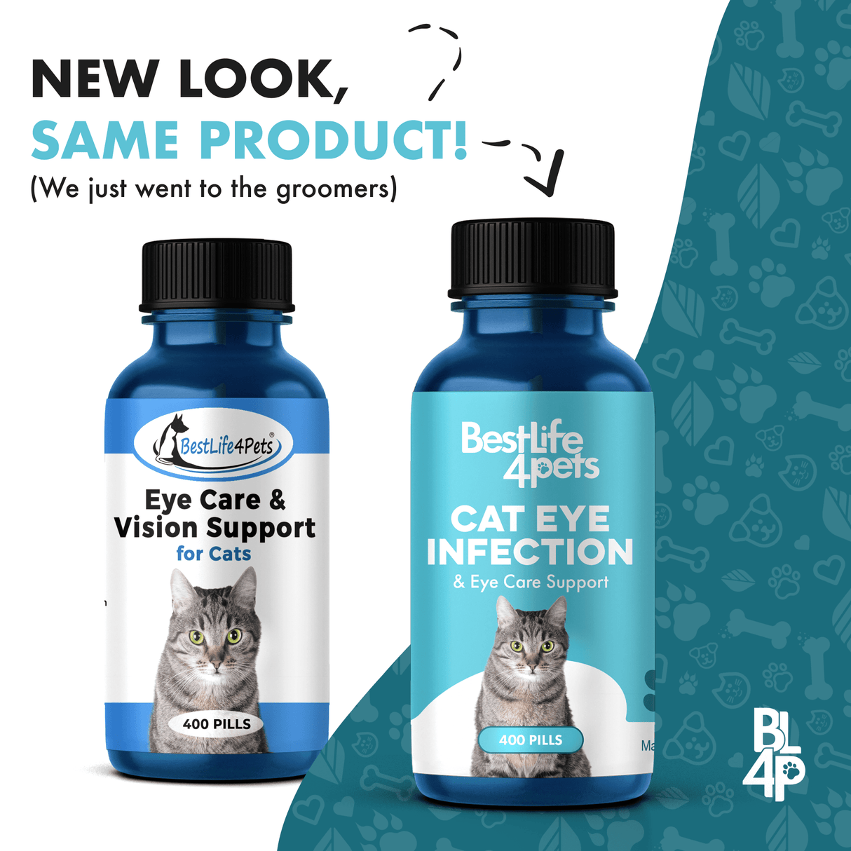 Cat Eye Infection, Eye Care & Vision Support by BestLife4Pets