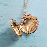 Gold Seashell Locket by Salt and Sparkle