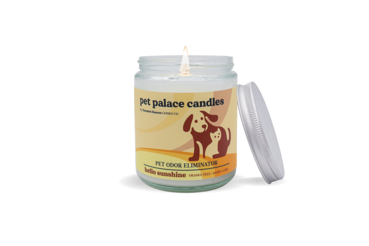 Hello Sunshine Pet Odor Eliminator Candle by Garsnett Beacon Candle Co.