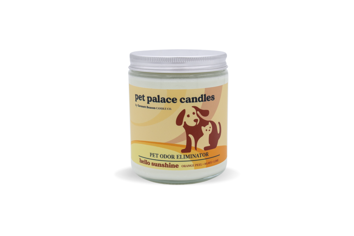 Hello Sunshine Pet Odor Eliminator Candle by Garsnett Beacon Candle Co.