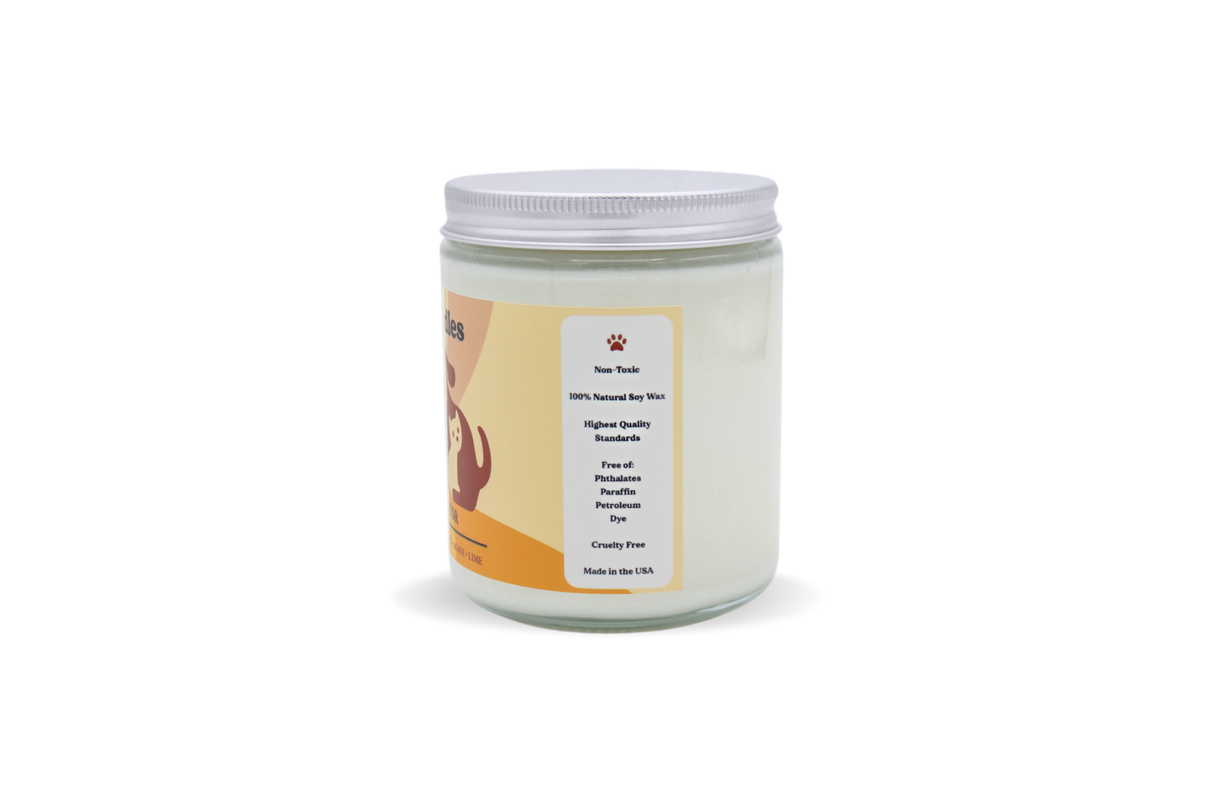 Hello Sunshine Pet Odor Eliminator Candle by Garsnett Beacon Candle Co.