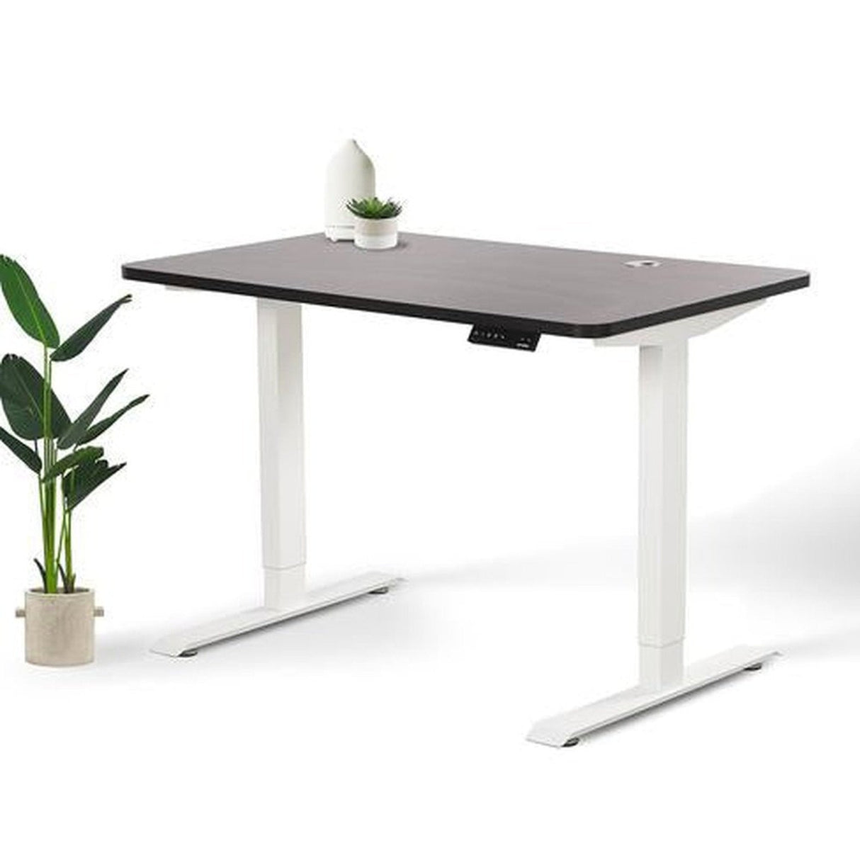 Home Office Standing Desk by EFFYDESK by Level Up Desks