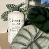 Plant Juice by Elm Dirt