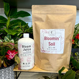 Bloom Power Bundle by Elm Dirt