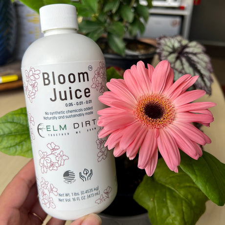 Bloom Juice by Elm Dirt