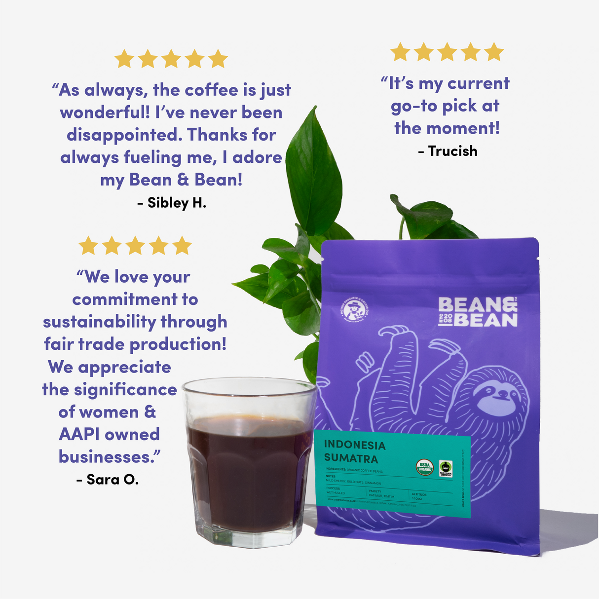 Indonesia Sumatra, Organic & Fair Trade by Bean & Bean Coffee Roasters