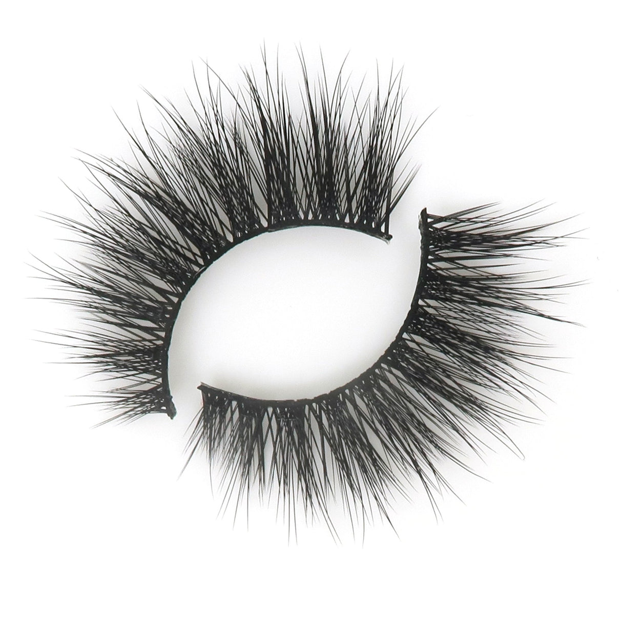 Woman of Worth (WOW!) Lash Style by True Beauty Lashes