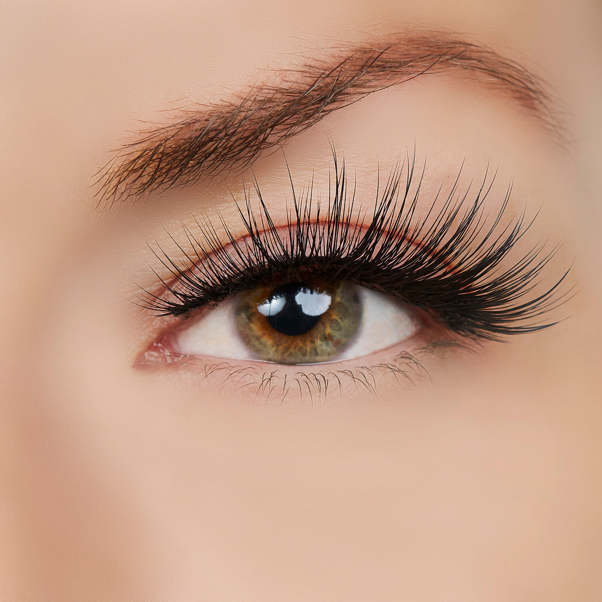 Woman of Worth (WOW!) Lash Style by True Beauty Lashes