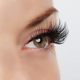 Center of Attention Lash Style by True Beauty Lashes