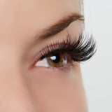 Positively Captivating Lash Style by True Beauty Lashes