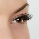 Goal Digger Lash Style by True Beauty Lashes