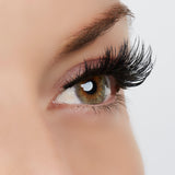 Original Inspo Lash Style by True Beauty Lashes