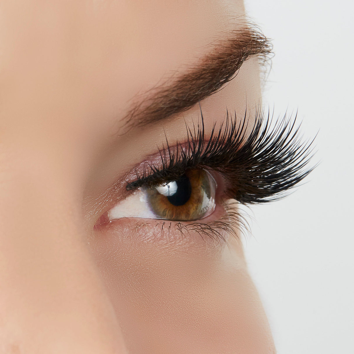 Sexy Classy Lash Style by True Beauty Lashes