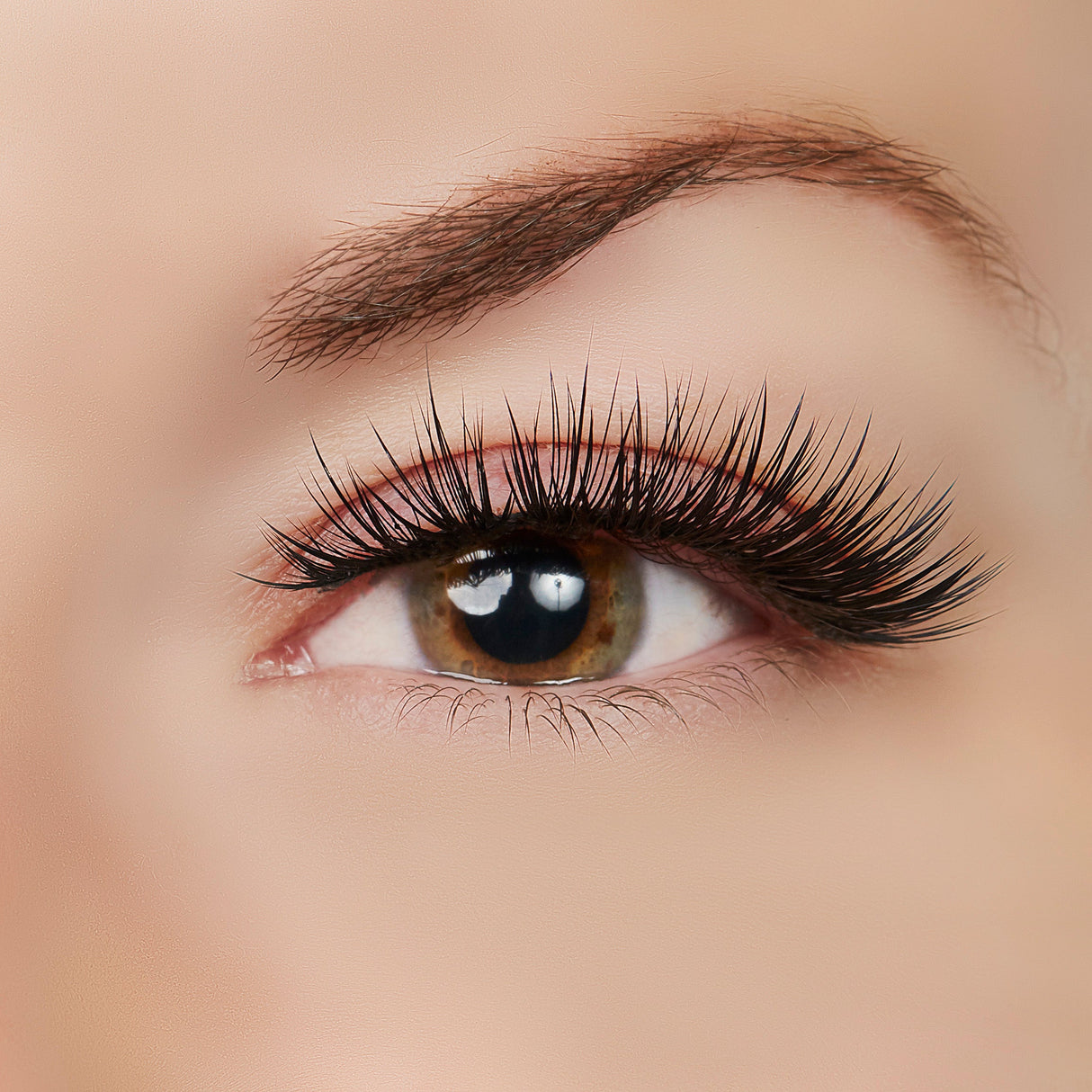 Sexy Classy Lash Style by True Beauty Lashes