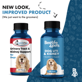 Dog UTI & Kidney Infection Treatment for Dogs by BestLife4Pets