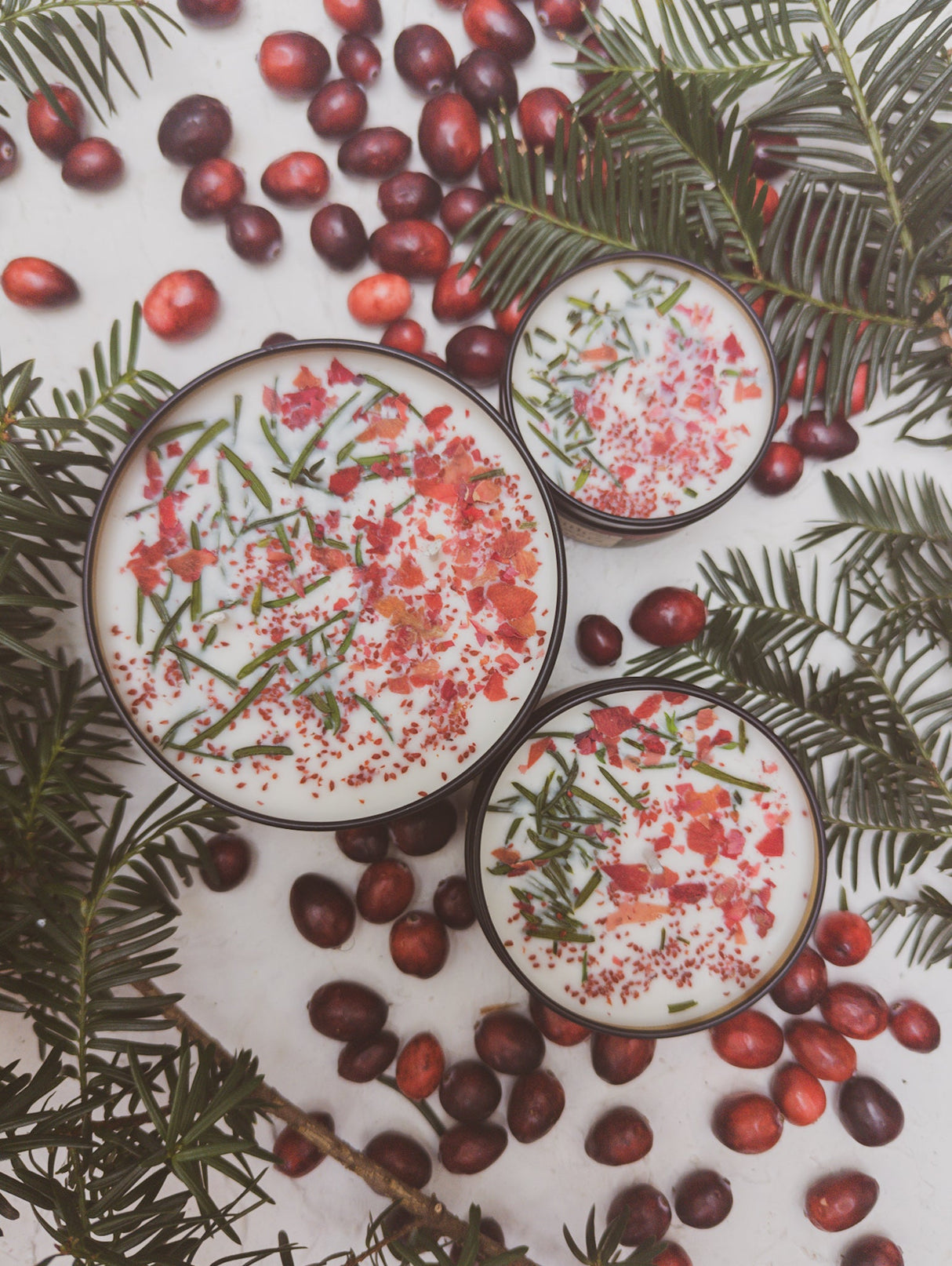 GATHER HERE Cranberry Pine Candle by Ash & Rose