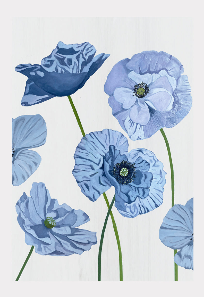 Art Print:  Blue Poppies on Pale Grey by India & Purry