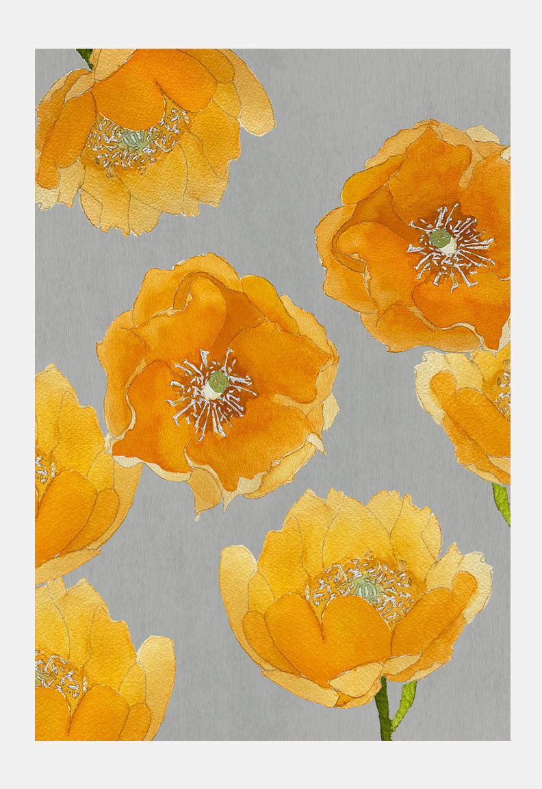 Art Print:  Orange Cactus Flowers on Grey by India & Purry