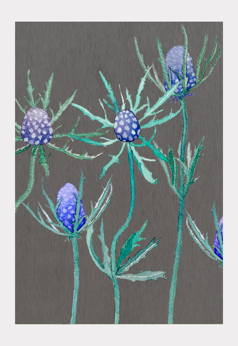 Art Print:  Purple Thistle on Grey by India & Purry