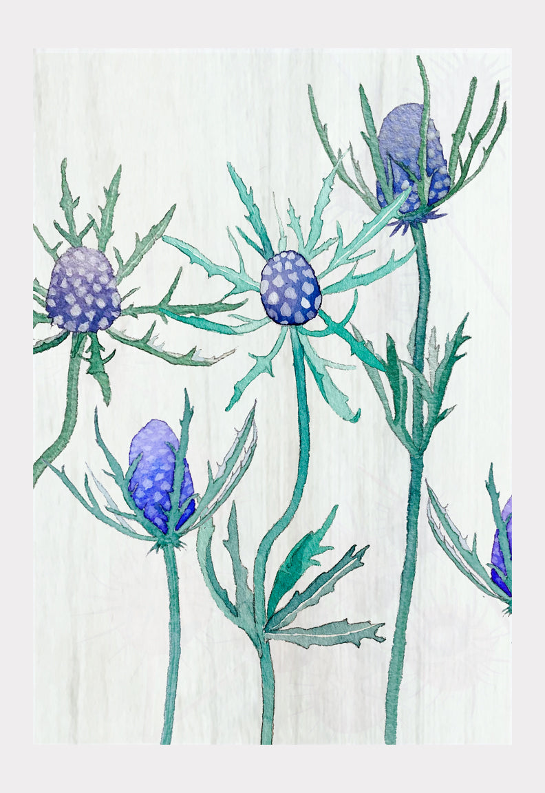 Art Print:  Purple Thistle on Snow by India & Purry