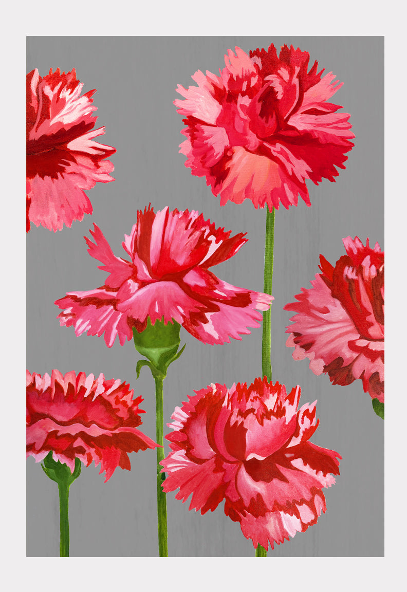 Art Print:  Red Carnations on Grey by India & Purry