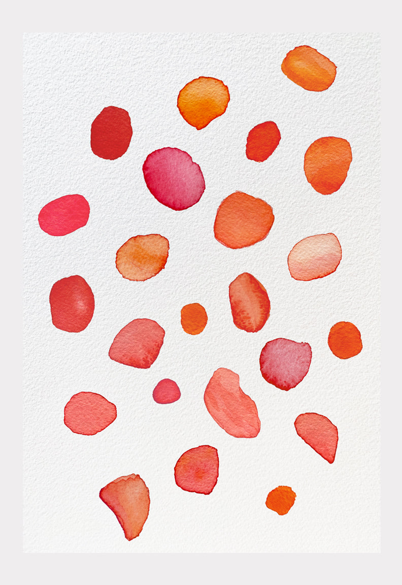 Art Print:  Rose Petals on Snow by India & Purry