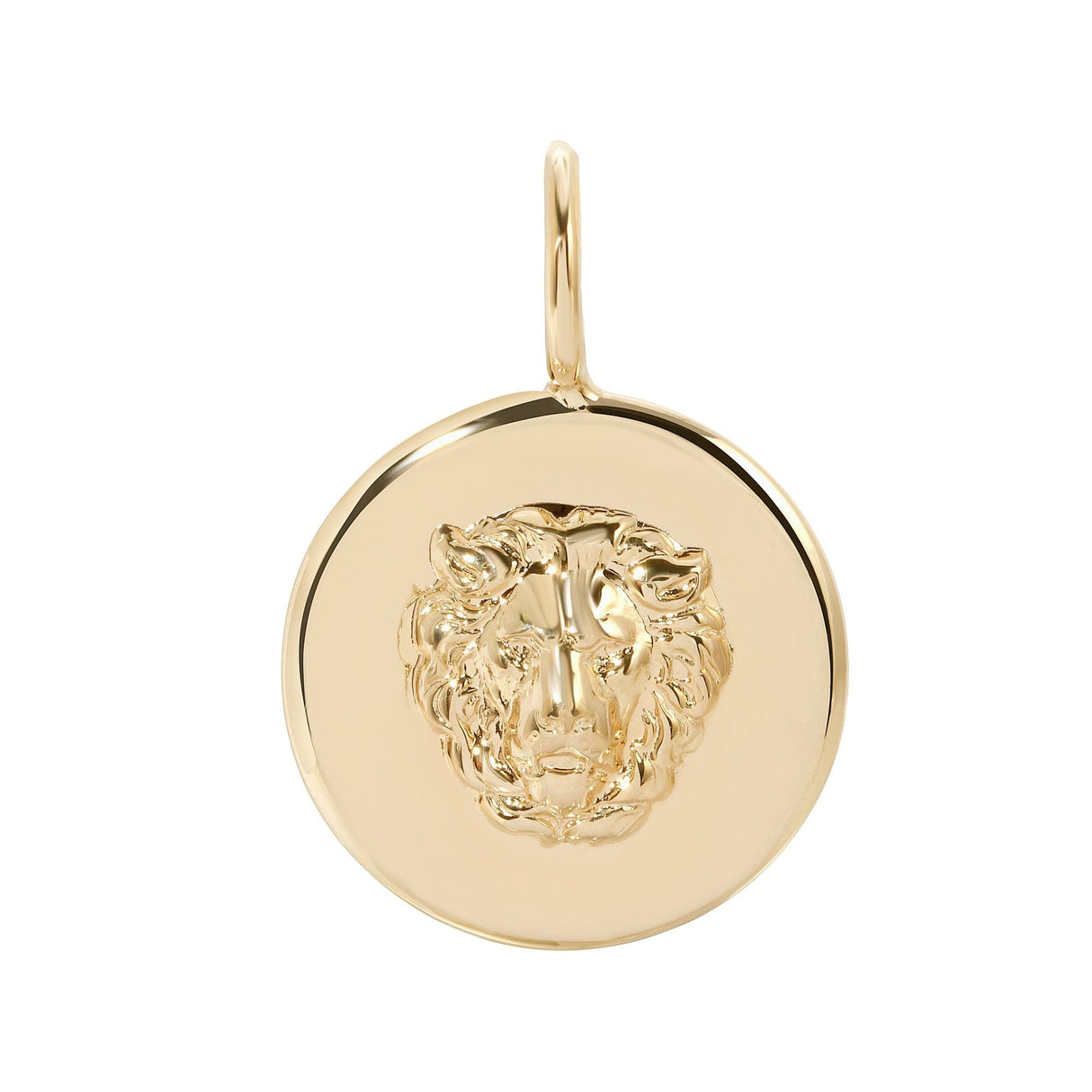 Leni Lion Pendant by eklexic jewelry