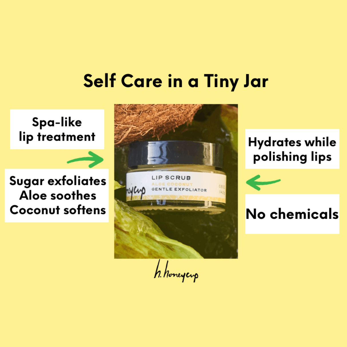 Lip Scrub Aloe Coconut by H. Honeycup