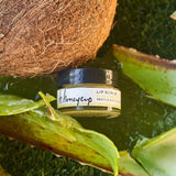 Lip Scrub Aloe Coconut by H. Honeycup