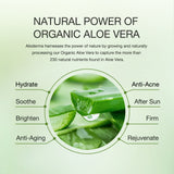 Pure Aloe Vera Skin Hydrator - 99.8% Organic Aloe by ALODERMA