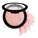 Color Pro Blush by Color Me Beautiful