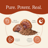 Organic Reishi Mushroom Powder – Bulk Extract by Real Mushrooms