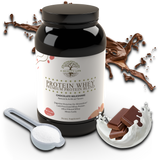 Protein Whey Premium Protein Blend Chocolate Milkshake by A Quality Life Nutrition